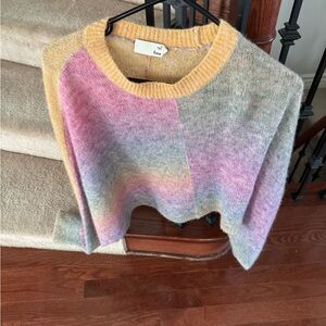 Aritzia cropped sweater multi color